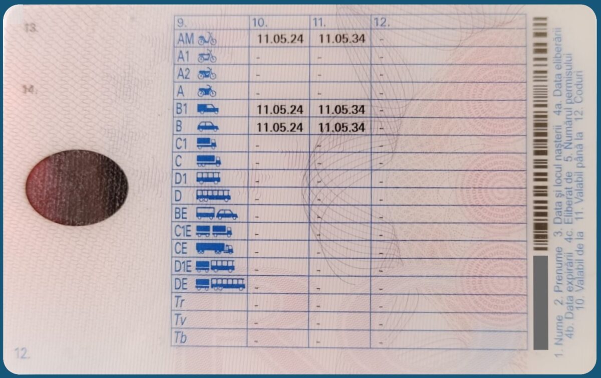 Rückseite des Führerscheins im Scheckkartenformat mit Daten der Fahrzeugklassen, Erteilungsdatum nationalen und internationalen Schlüsselziffern